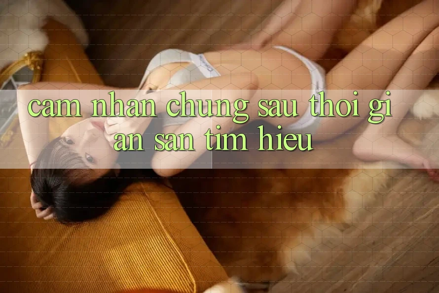 Cảm nhận chung sau thời gian săn tìm hiểu