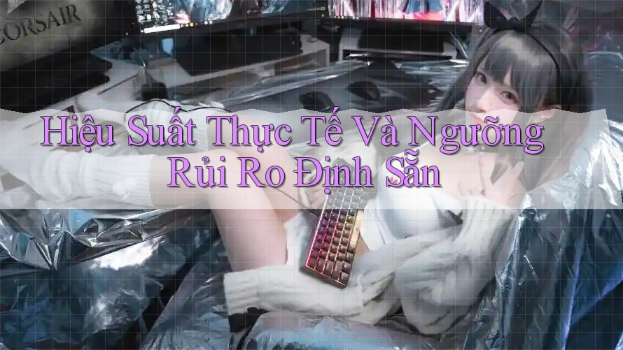 Hiệu Suất Thực Tế Và Ngưỡng Rủi Ro Định Sẵn