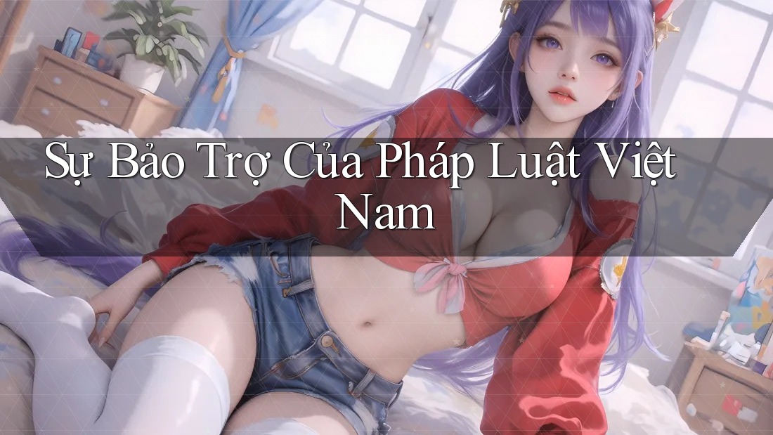 Sự Bảo Trợ Của Pháp Luật Việt Nam
