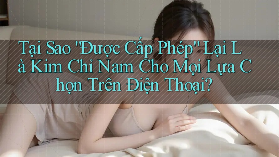 Tại Sao “Được Cấp Phép” Lại Là Kim Chỉ Nam Cho Mọi Lựa Chọn Trên Điện Thoại?